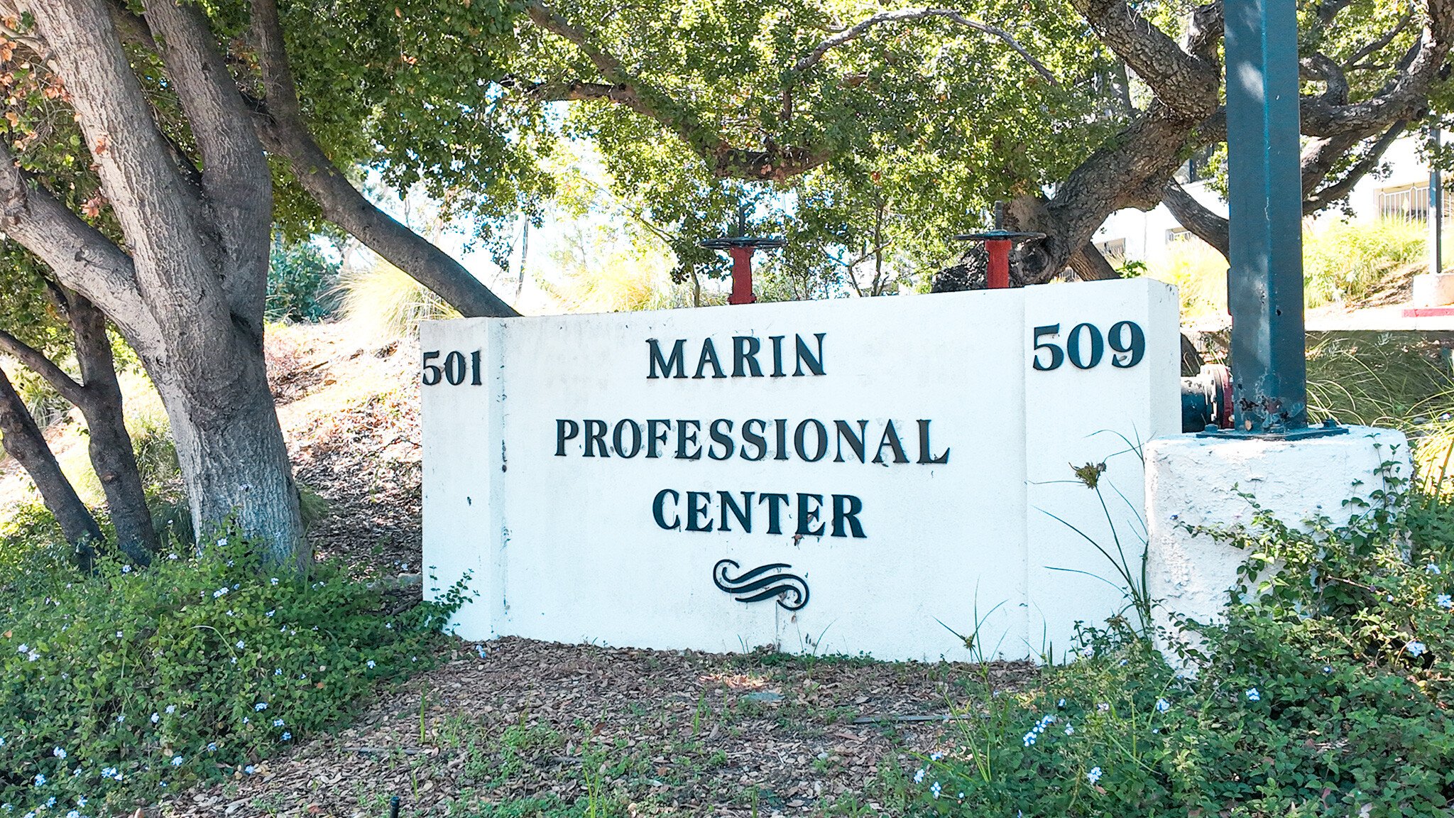 Dentist in Thousand Oaks